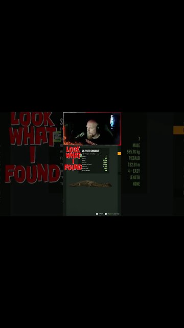 Look What I Found #callofthewild #cotw #game #scandinavianwolf #shorts