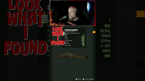 Look What I Found #callofthewild #cotw #game #scandinavianwolf #shorts