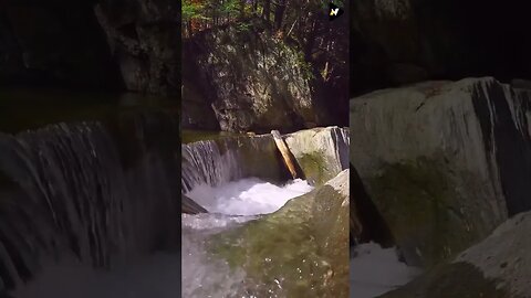 Relaxation Short Videos with Beauty of Nature #shorts #short #shortfeed #nature 27