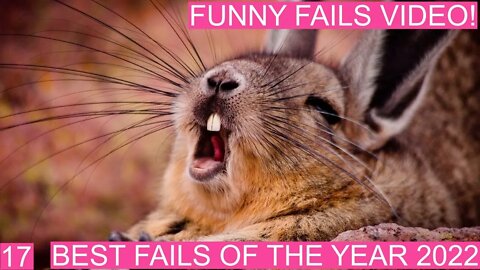 New Funny Videos 😂 Cutest People Doing Funny Things 17-2022