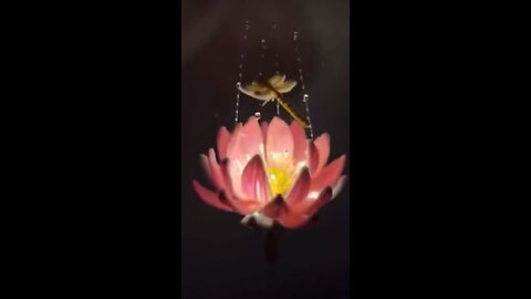 Just wow 🤩 wait for end