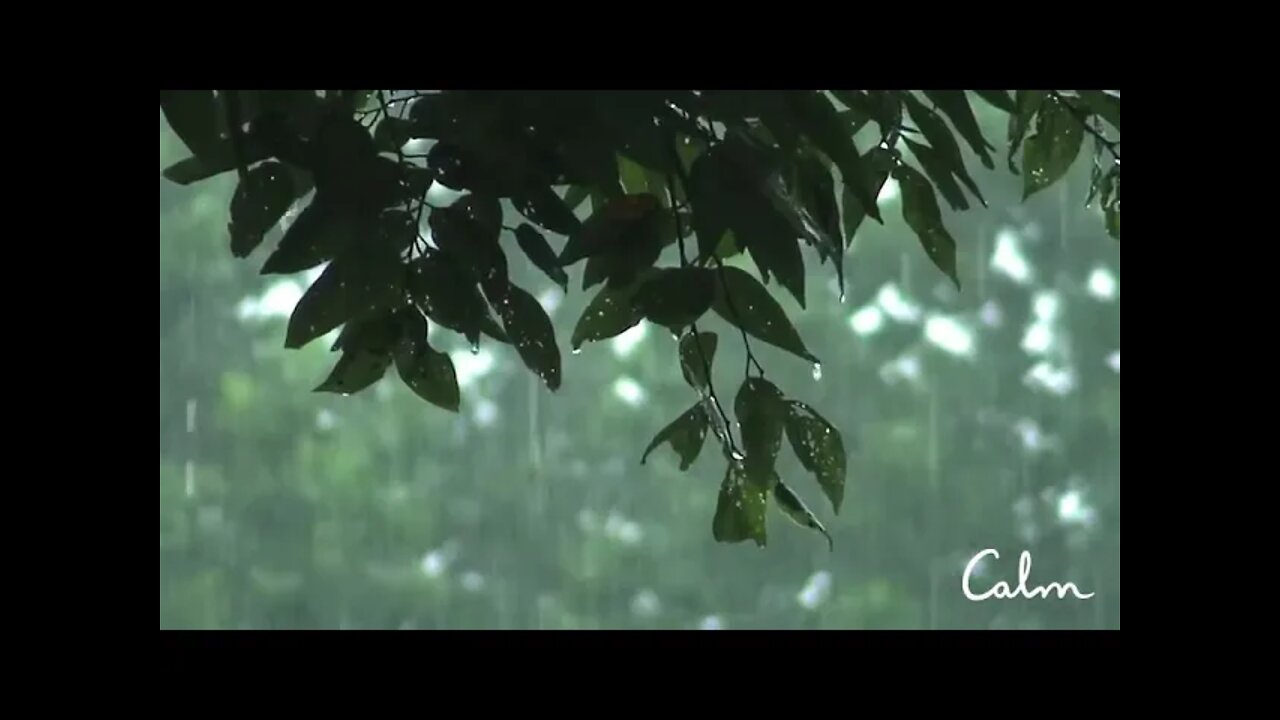 Rainstorm Sounds for Relaxing, Focus or Deep Sleep