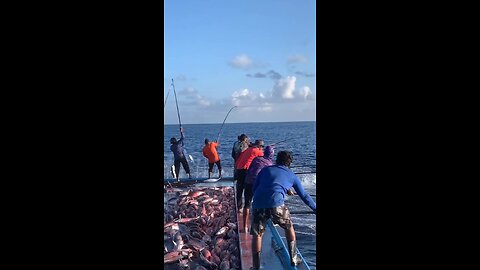 pole-and-line fishing