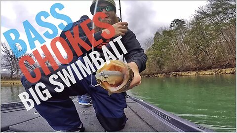BASS CHOKES BIG SWIMBAIT!