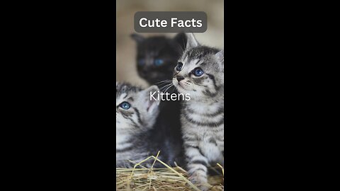some cute fact 😉😉 🐾🐾🐾