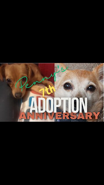 Penny's 7th Adoption Anniversary