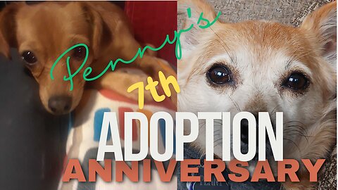 Penny's 7th Adoption Anniversary