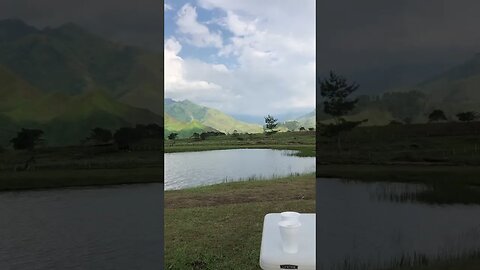 Reality Vs. Art