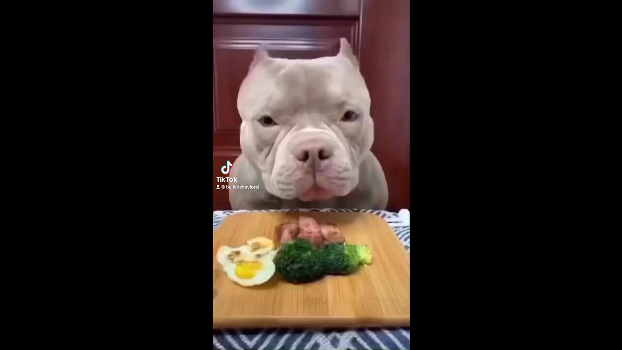 Today’s gonna be your day!❤️🥦
