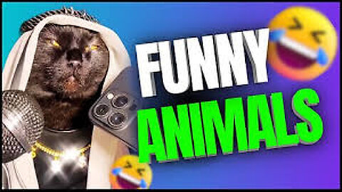 Furry Funnies: Laugh with Animals!"🤣🤣 #AnimalComedy #FunnyFurries #LaughWithPets #Hilarious