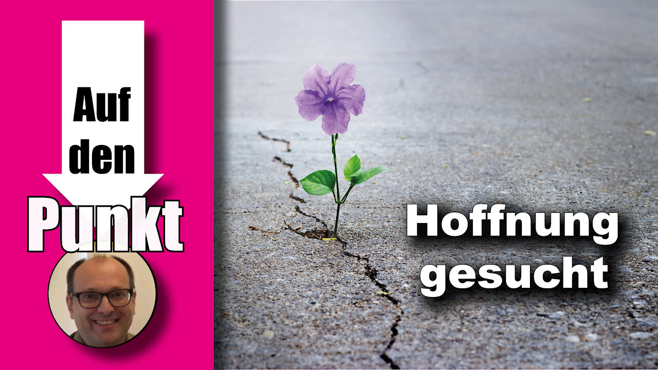 Was tun in diesen trüben Zeiten? (Auf den Punkt 88)