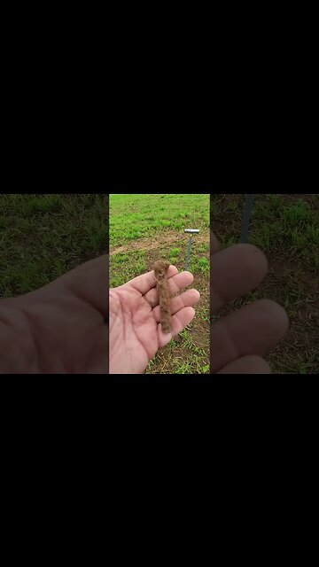 Huge square nail #metaldetecting #shorts