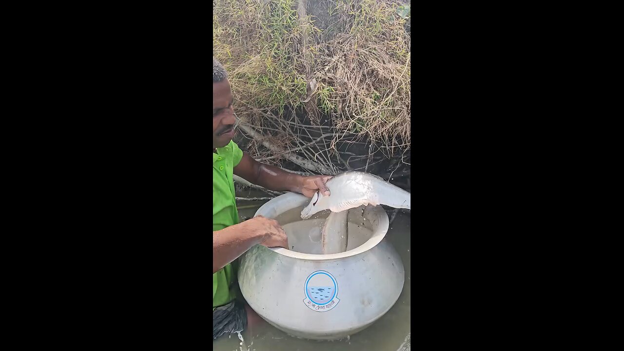 Village Fishing