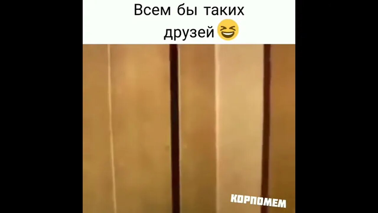 эти приколы искали все / приколы 2022 / приколы 2022 тик ток / тик ток приколы смотреть