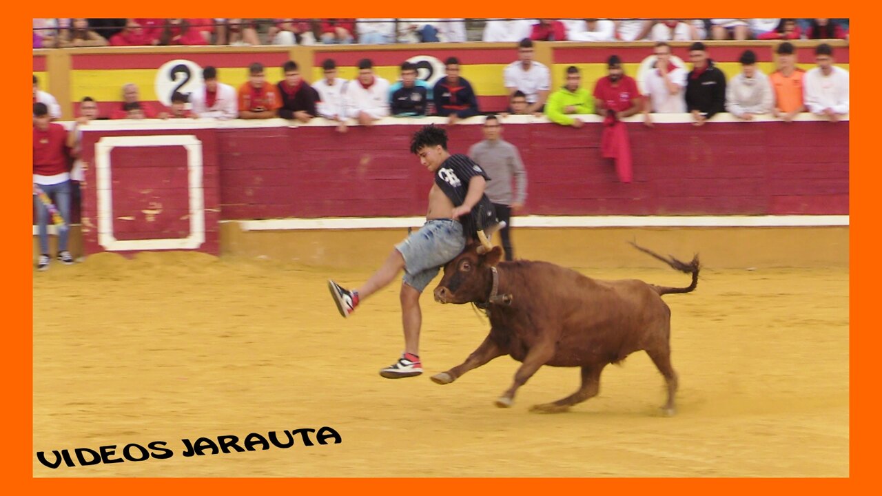 TUDELA ( NAVARRA ) MATINAL 4º ENCIERRO VACAS PLAZA ( JUEVES 28 JULIO 2022 ) JAVIER TAIXE