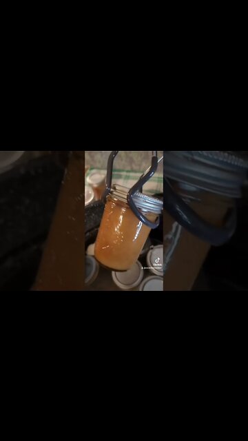 Canning Apple Sauce on the Homestead