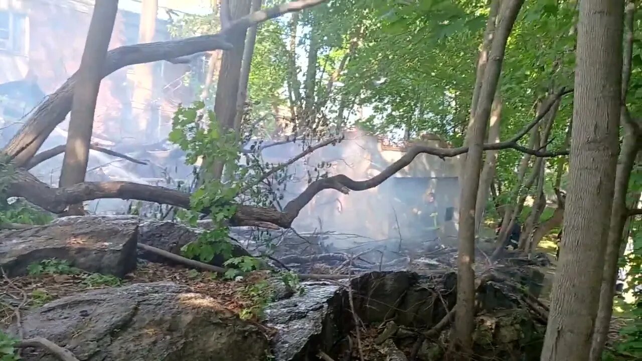 Boston Fire department respond to a tree fire on Harold street.