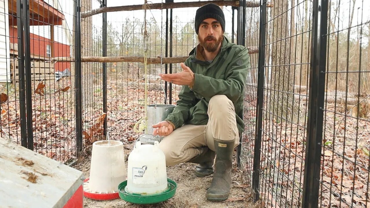 Before You Build a Chicken Coop Watch This