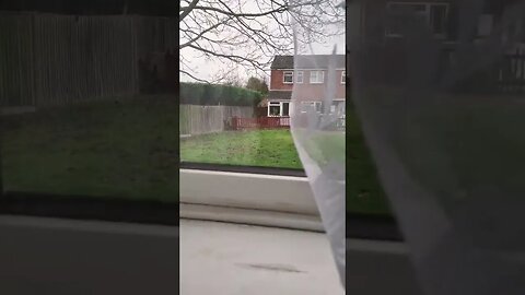 not so sunny today