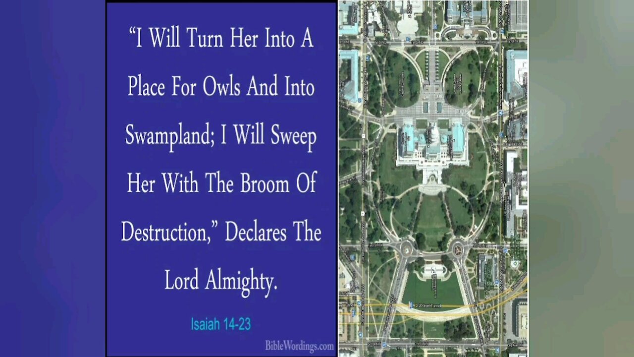 The super B owl 🐸 #DDK