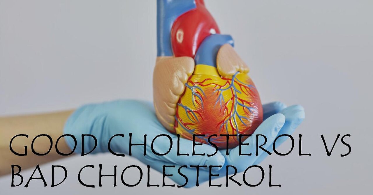 Cholesterol Explained The Ultimate Guide to Understanding Balance & Reducing Heart Disease Risk