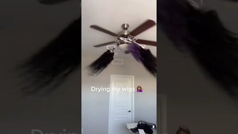 Drying wigs on fan #funnyshorts #funny #shorts #fans