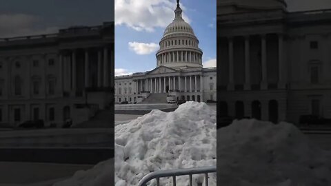 1/18/22 Nancy Drew in DC-Video 3-Capitol Again-Lady w/ Zip ties & Reverend Calling on Nancy Videoing