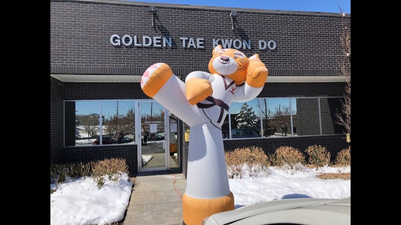 Golden Tae Kwon Do owner, clients 'scream' during online workouts to relieve stress, scare COVID