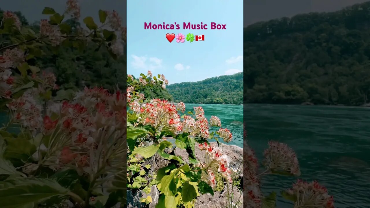 Invitation to Monica’s Music Box