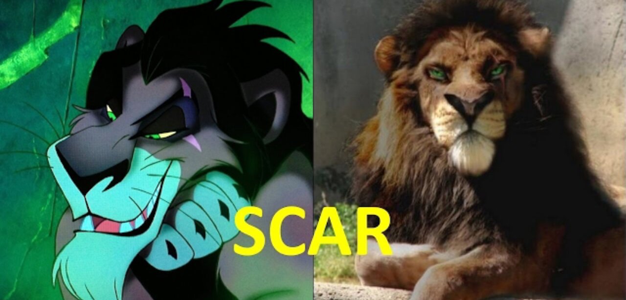 LION KING REAL LIFE HEROES. MUsT WATCH