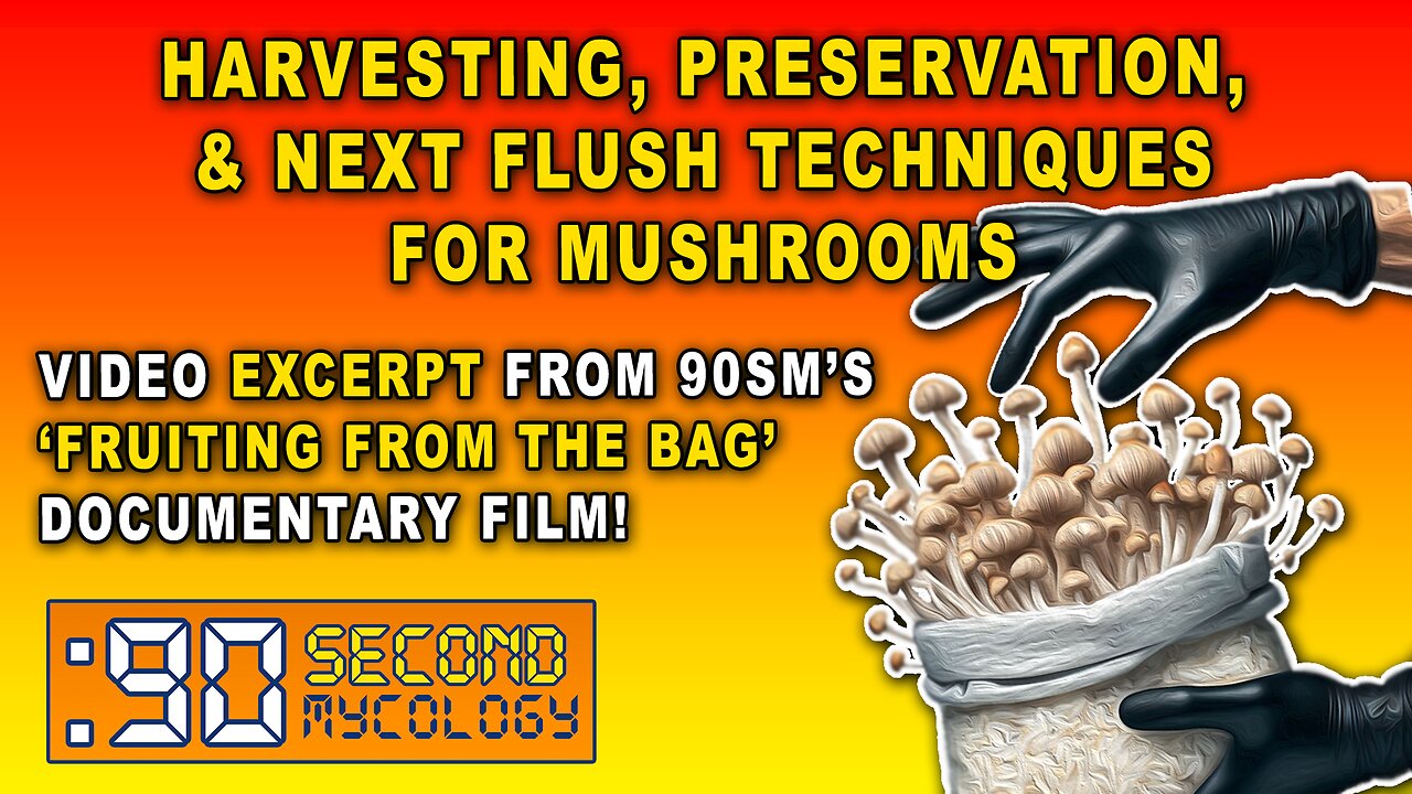 Basic Cubensis Mushroom Harvesting, Preservation, & Next Flush Techniques \\ EXCERPT!