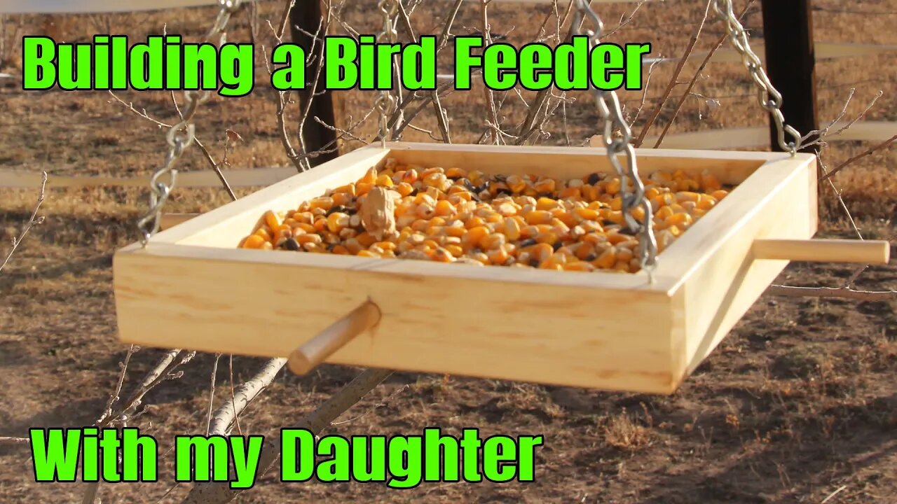 Building a Platform Bird Feeder with my Daughter | Spring Projects