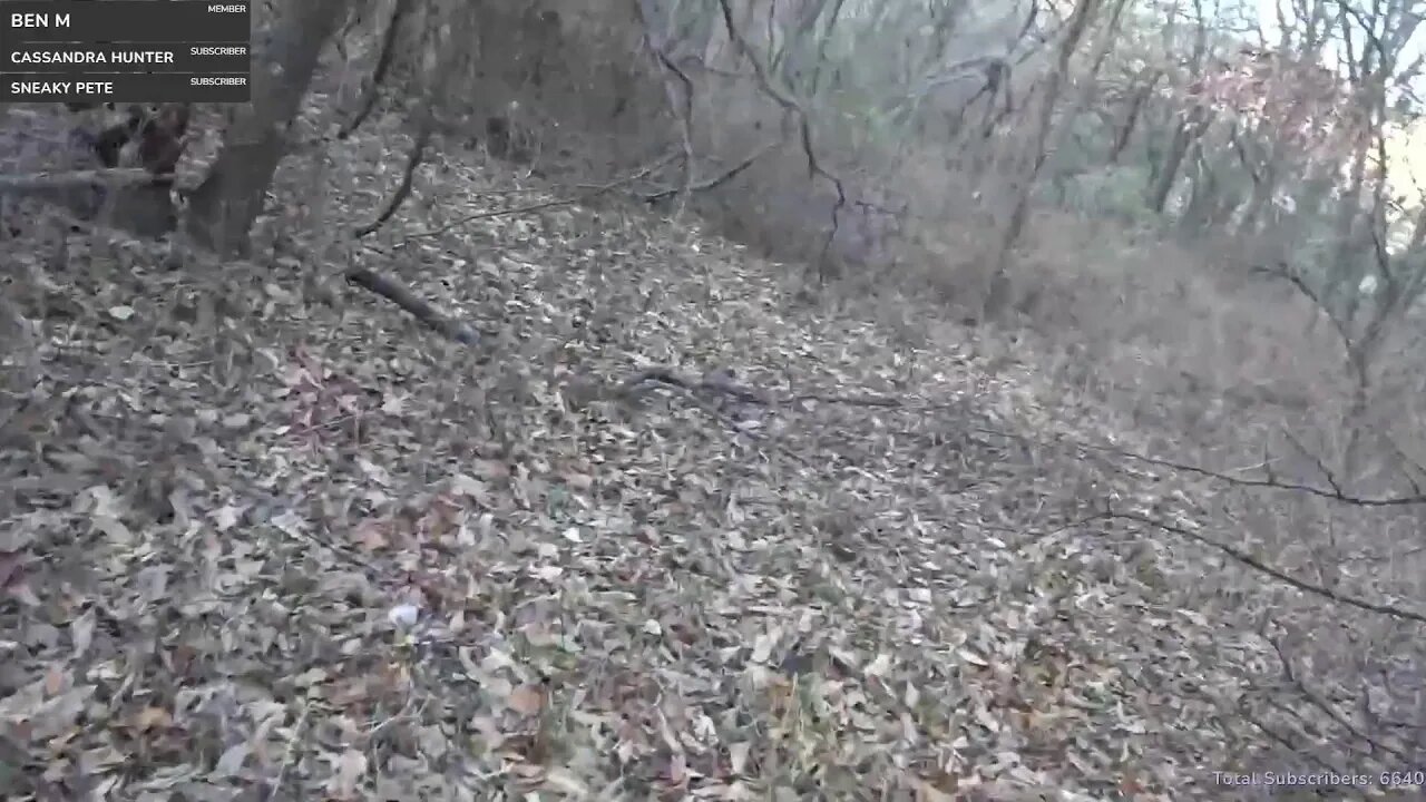 LIVE Deer Hunting - Going after a 12+ Point Buck!