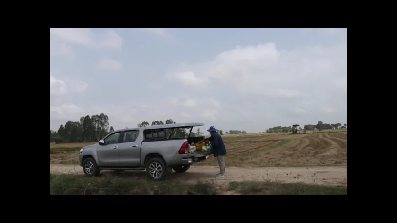 Natural rice field