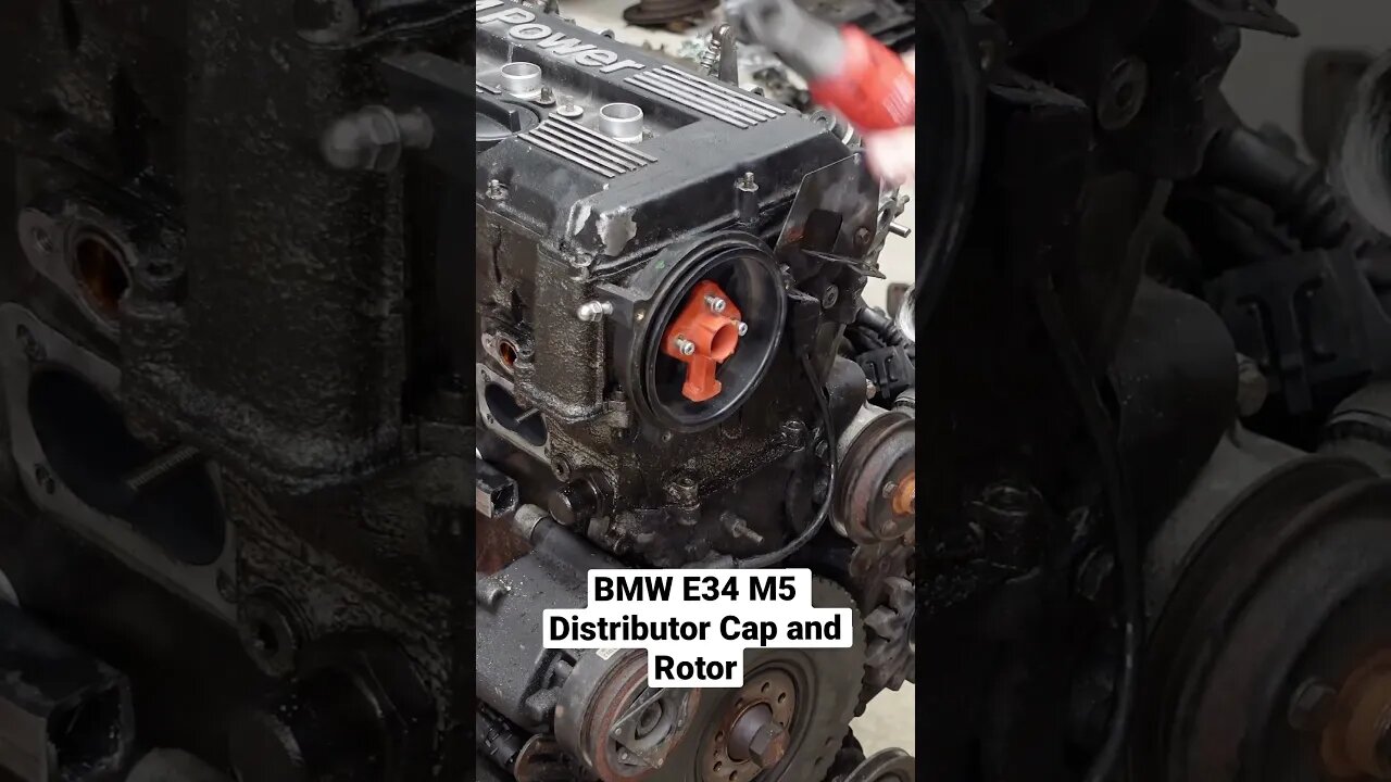 BMW E34 M5 Distributor Cap and Rotor #shorts #bmw #cars #automotive #diy #bmwm5 #restoration