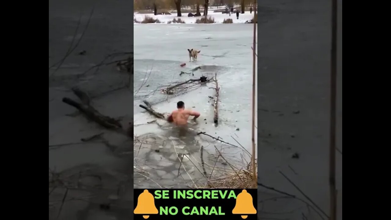 Salvando o Cachorro do Lago de Gelo #shorts