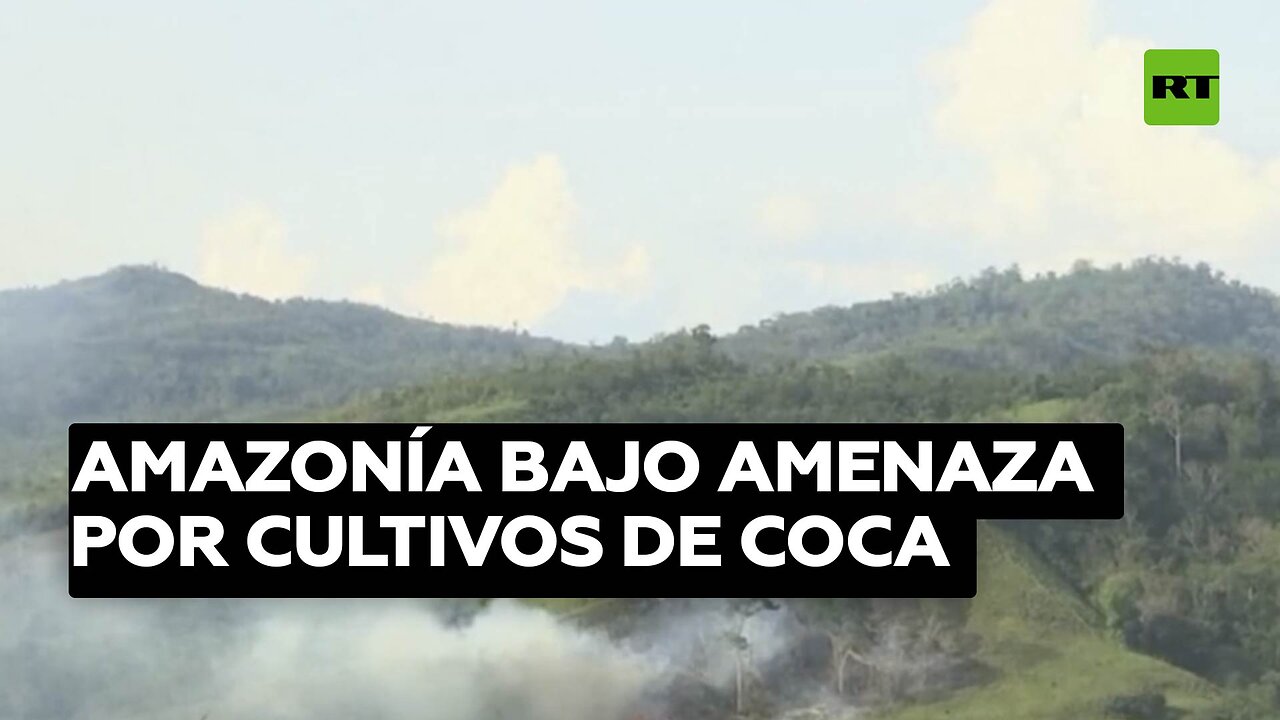 Amazonía bajo amenaza por cultivos de coca en medio de la creciente demanda de Occidente