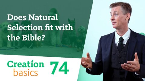 Does Natural Selection fit with the Bible? (Creation Basics, Episode 74)