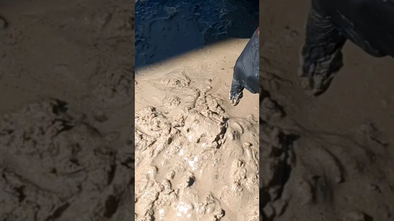 This is Wet #shorts #shortsfeed #whatsappstatus