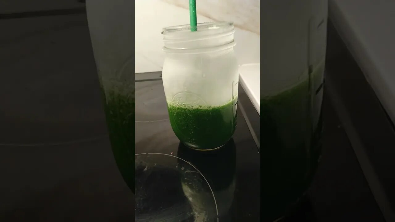 Day 23 of My 30-Day Green Juice Challenge! 🍏🍏🍏🍏🍏