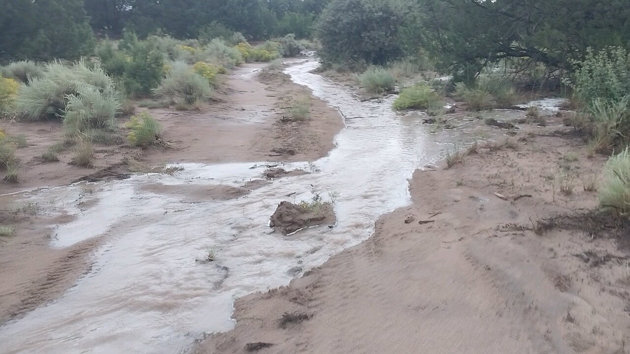 My wash after a heavy rain. pt3.