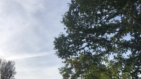 Sky Wales 10:43 am 10/10/2023