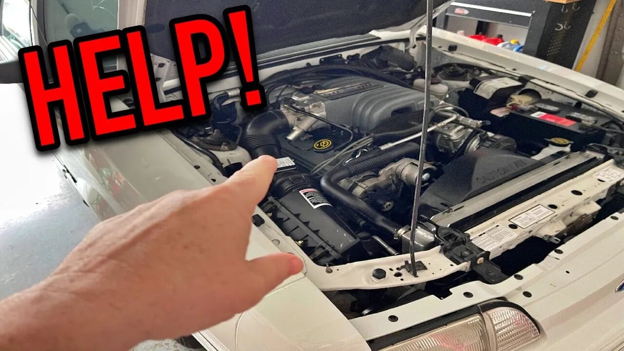 FOX BODY owners a in desperate need for a quality....