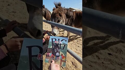 I got bit by a horse!