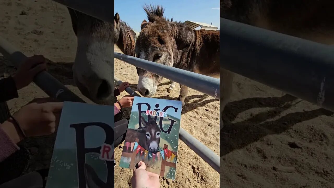 I got bit by a horse!