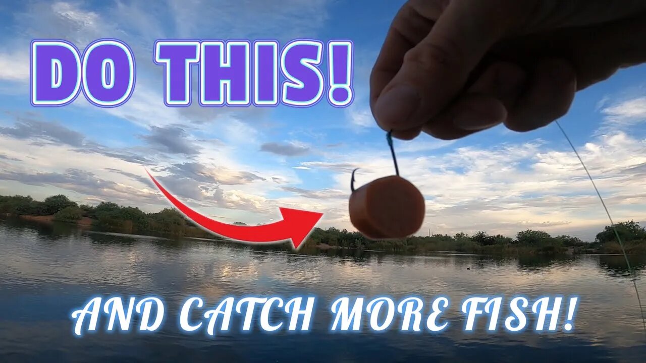 Using Hotdog to Catch Fish! BACK TO THE BASICS!