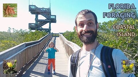 Naturevore: FLORIDA FORAGING Walk #25 (Mar. 16): COASTAL ISLAND: Mangrove, Cactus, Candyroot & More!