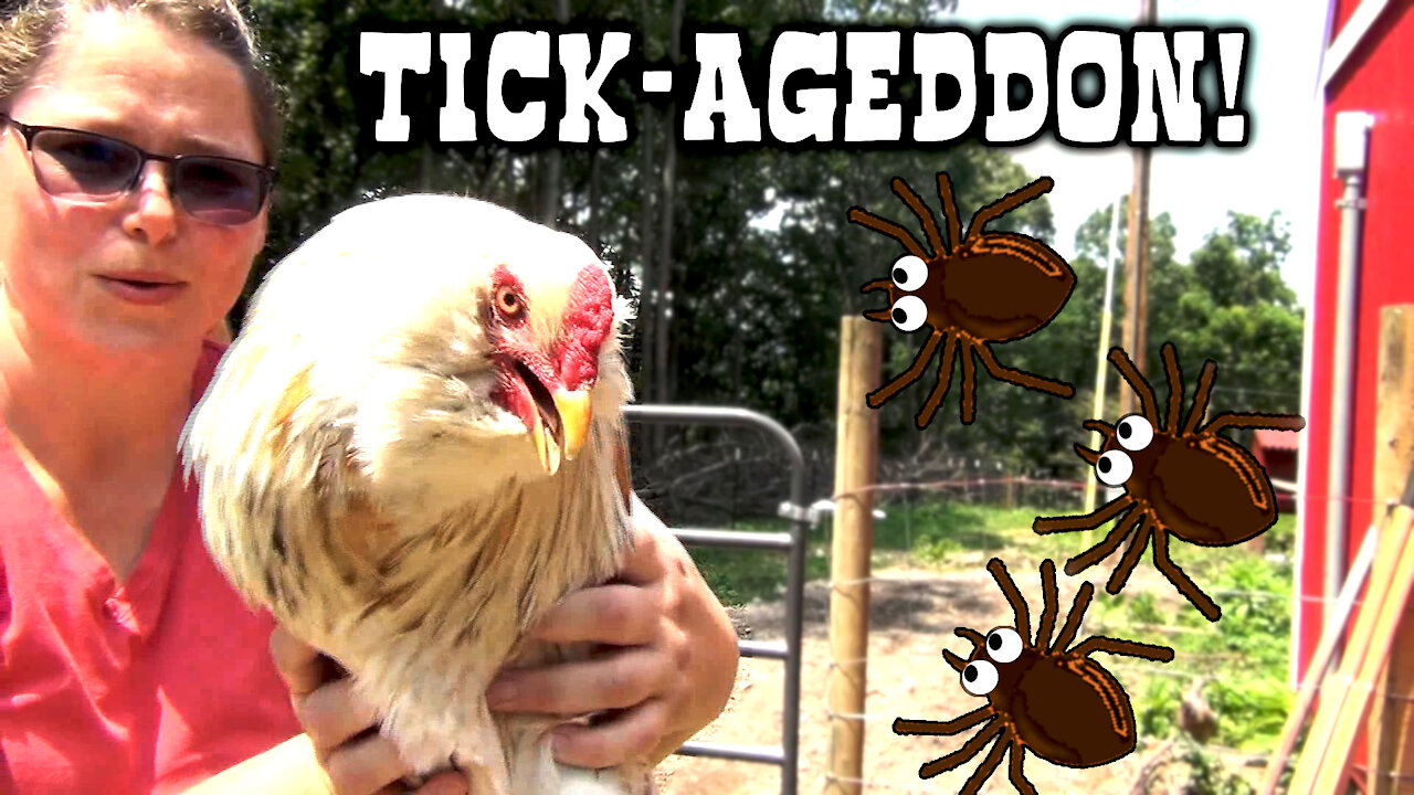 The Tick Armageddon Has Arrived! Moving Chicken House and Chickens to New Property.