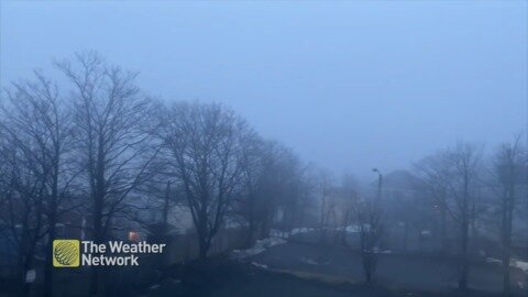 An eerie foggy evening in Newfoundland