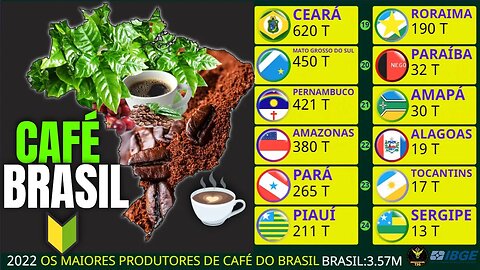 Os Maiores Produtores de Café do Brasil | 1974-2022